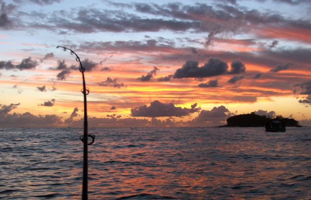 WAECO photo comp entry